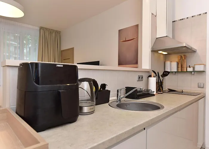 Apartament Apartamentai Du Druskieniki